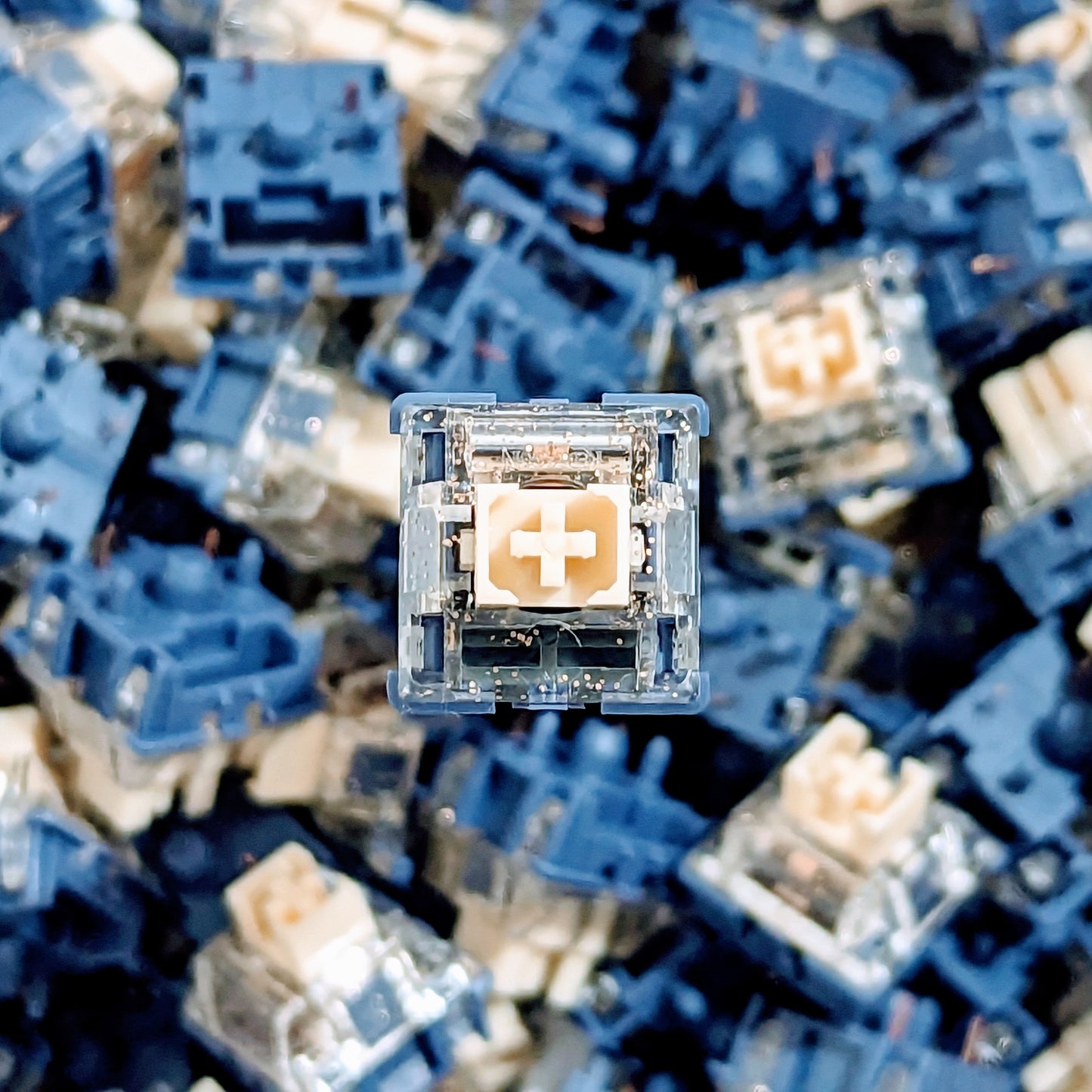 Haimu Navy Jade Switch