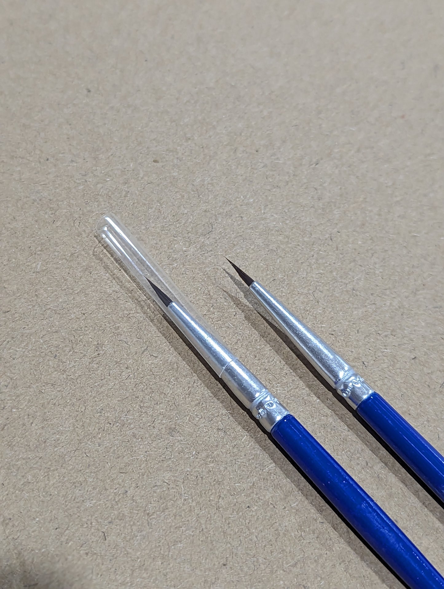Brush (Thin and Thick)