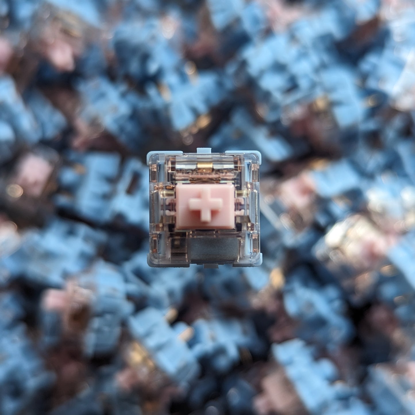 Gateron Melodic Switch